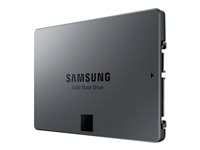 Samsung 840 EVO MZ-7TE250 - SSD - 250 GB - inbyggd - 2.5" - SATA 6Gb/s - buffert: 512 MB MZ-7TE250BW