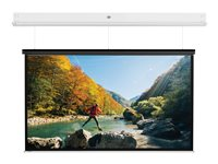 Da-Lite DescenderPro - Projektorduk - takmontering - motoriserad - 230 V - 162.6" (413 cm) - 16:10 - Matte White - RAL 9016 10144804