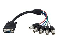StarTech.com 1 ft. (0.3 m) VGA to BNC Cable - HD15 VGA to 5 BNC - Male/Female - BNC Cable (VGABNCMF1) - VGA-kabel - BNC (hona) till HD-15 (VGA) (hane) - 30 cm - svart VGABNCMF1