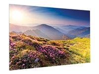 Da-Lite FullVision - Projektorduk - väggmontering - 113" (287 cm) - 16:9 - HD Progressive 1.3 10600791