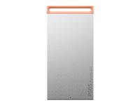 Lenovo PS6S - SSD - 1 TB - extern (portabel) - USB 3.1 Gen 2 (USB-C kontakt) - isgrå 4XB1T88410