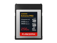 SanDisk Extreme PRO - Flash-minneskort - 256 GB - CFexpress 4.0 Typ B SDCFEB-256G-GN4NN