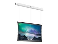 Da-Lite Tensioned DescenderPro - Projektorduk - takmontering - motoriserad - 122" (310 cm) - 16:9 - HD Progressive 1.1 Contrast - RAL 9016 10105638